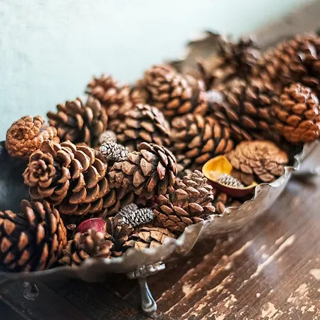 Daire Awesome Three Bedroom In *